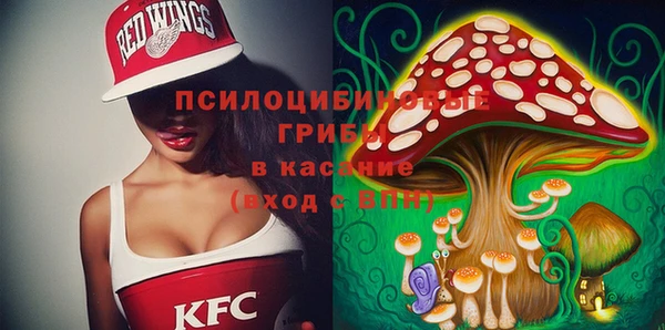 МДПВ Аркадак